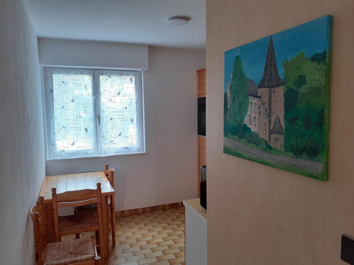 Residence Le Chateau Kaysersberg Εξωτερικό φωτογραφία